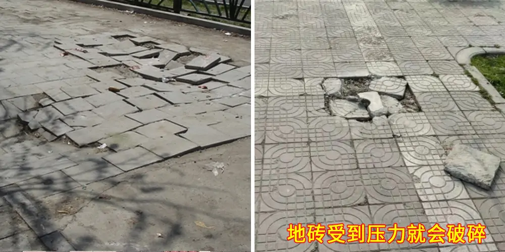 1672204736403939.jpg 01_看圖王.jpg