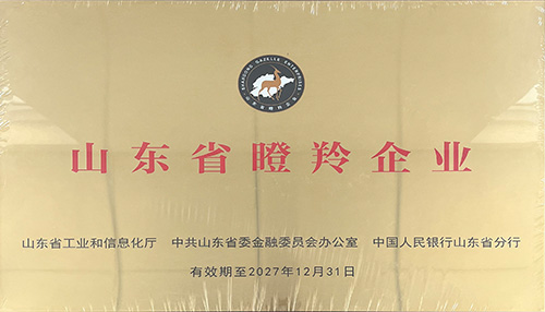 濟南百易長青發展歷程